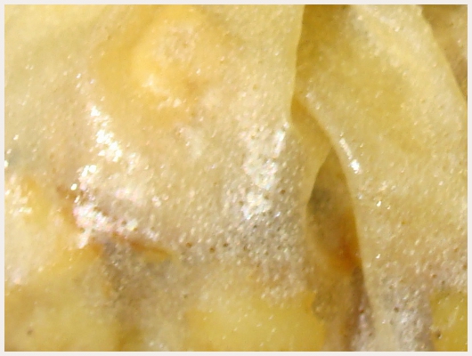 Aumonière Pomme