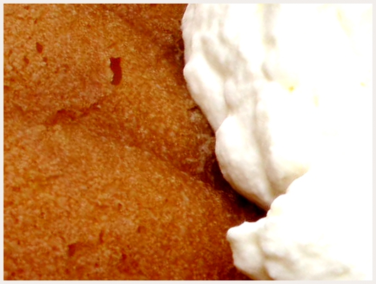 Baba au Rhum Crème Pâtissière
