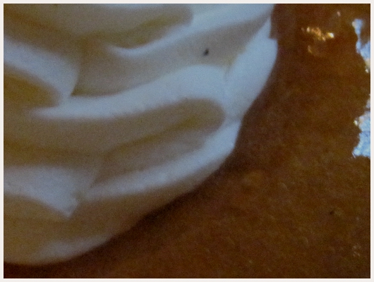 Baba au Rhum Express