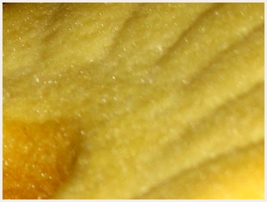Baba au Rhum Tupperware