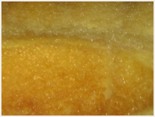 Baba au Rhum Ultra Facile