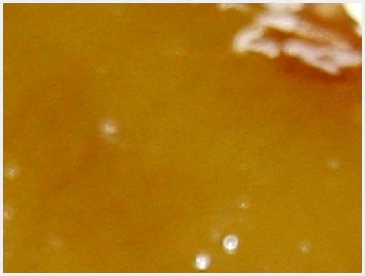 Banane Chaude