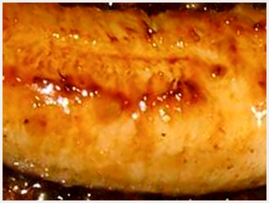 Banane Cuite
