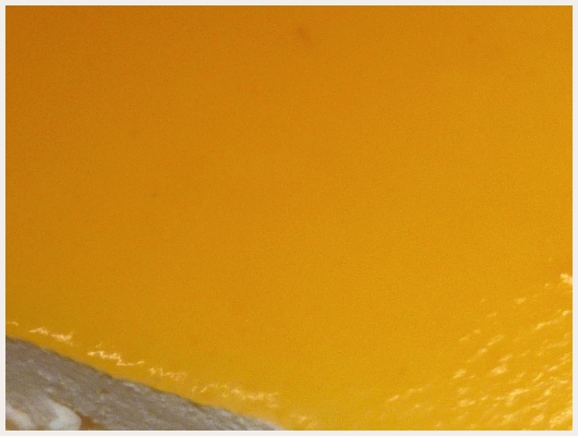 Bavarois au Citron