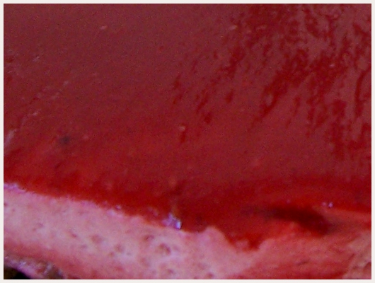 Bavarois aux Fruits Rouges