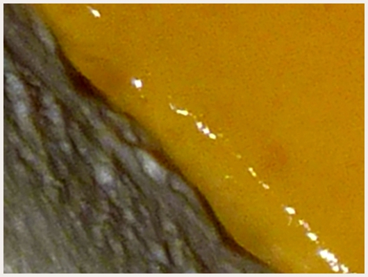 Bavarois aux Fruits