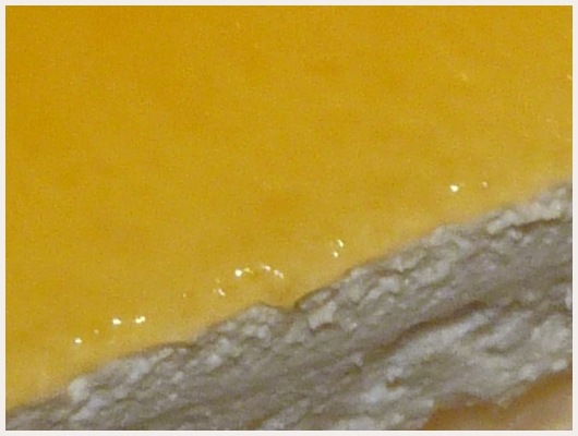 Bavarois aux Pêches