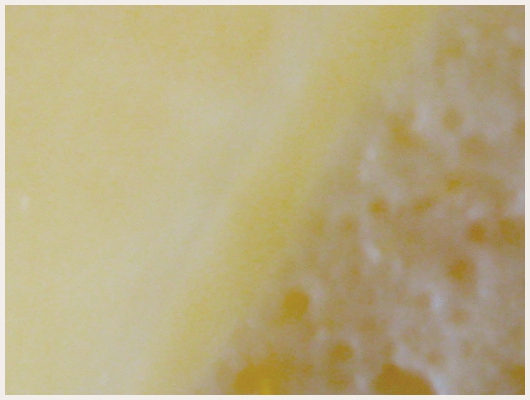 Bavarois aux Poires