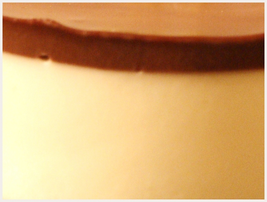 Bavarois Chocolat Vanille