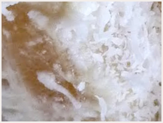 Bavarois Coco