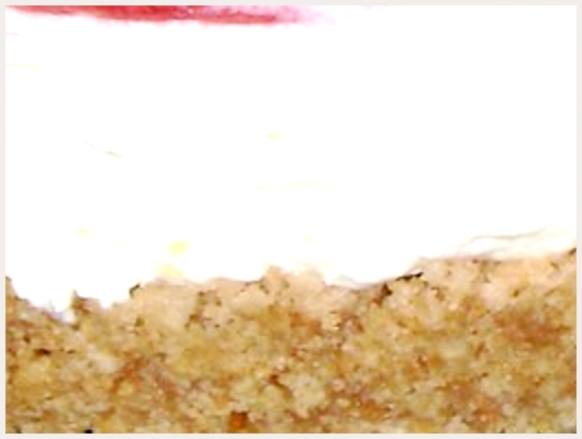 Bavarois Dukan