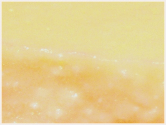Bavarois Exotique