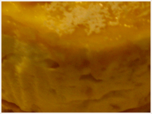Bavarois Fruits Exotiques