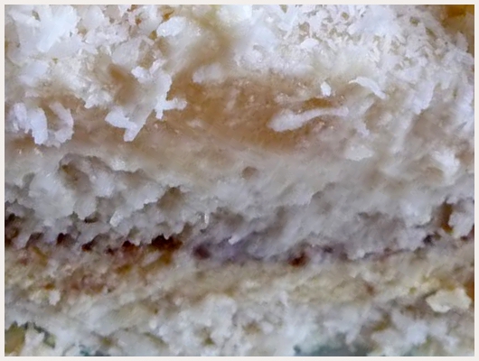 Bavarois Noix de Coco