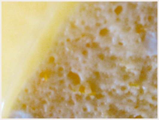 Bavarois Orange