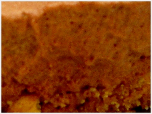 Bavarois Speculoos