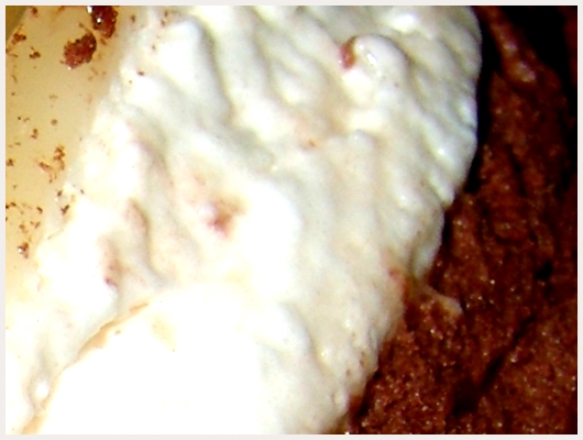 Bavarois Vanille Chocolat