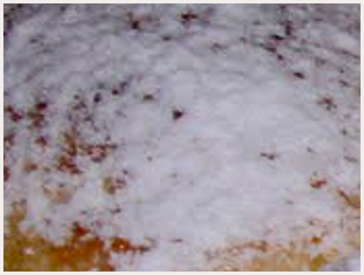 Beignet Espagnol