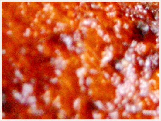 Beignet Indien