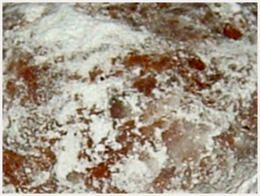 Beignet Polonais