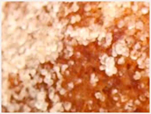 Beignet Portugais