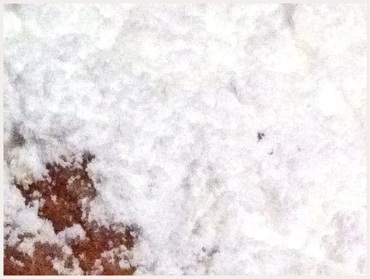 Beignet Simple