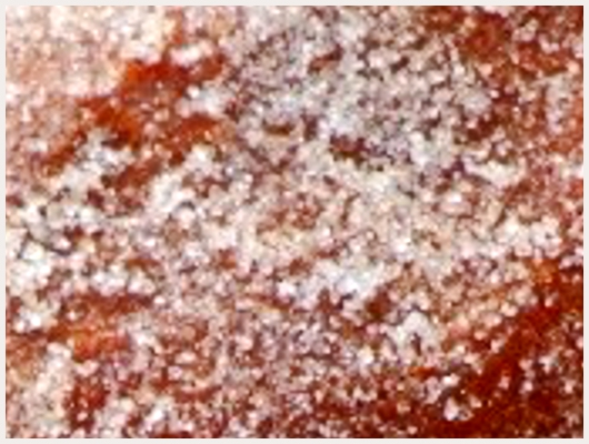 Beignet Tunisienne