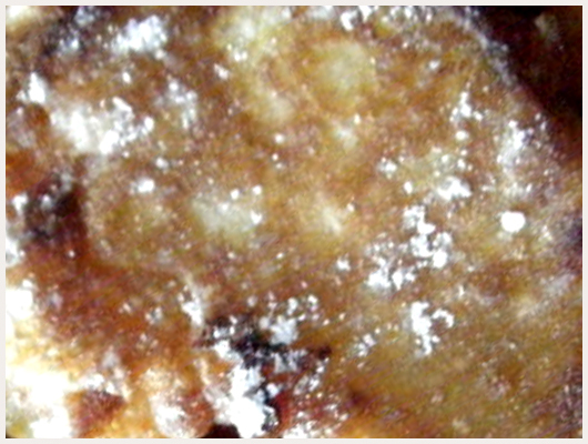 Biscuit aux Pommes