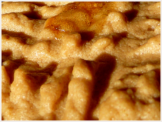 Biscuit Beurre Arachide