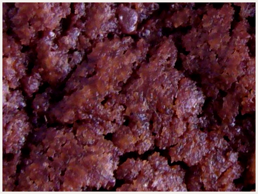 Biscuit Chocolat