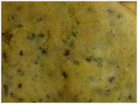 Biscuit Citron