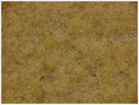 Biscuit Croquant