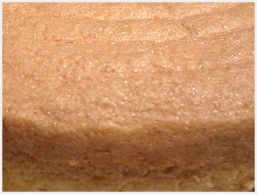 Biscuit de Savoie