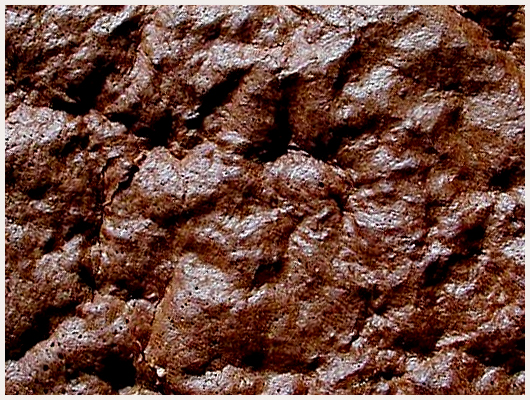 Biscuit Double Chocolat
