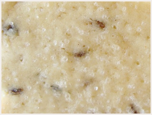 Biscuit Echaudé