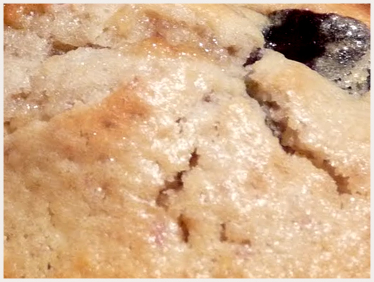 Biscuit Figue