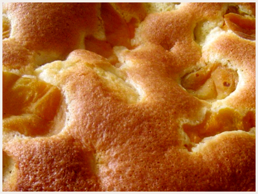 Biscuit Fondant