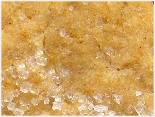 Biscuit Gingembre Frais