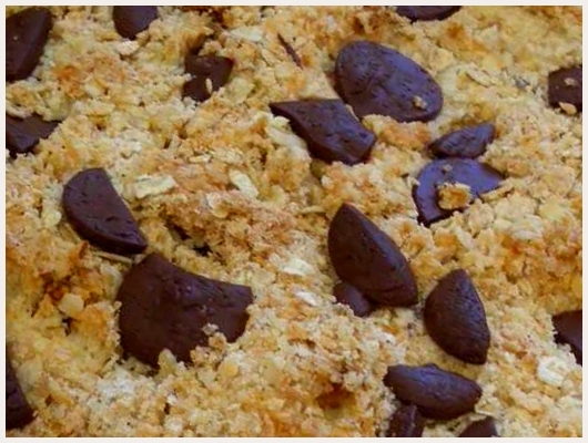 Biscuit Granola Maison