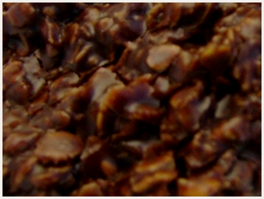 Biscuit Gruau Chocolat