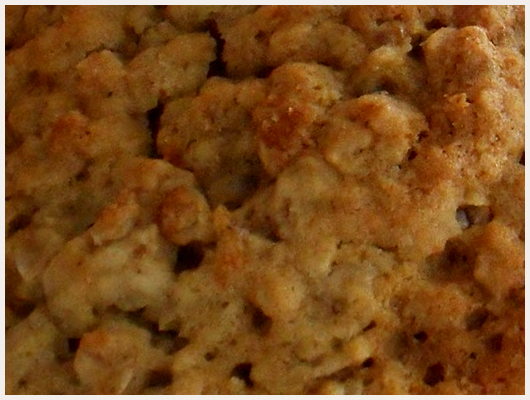 Biscuit Gruau