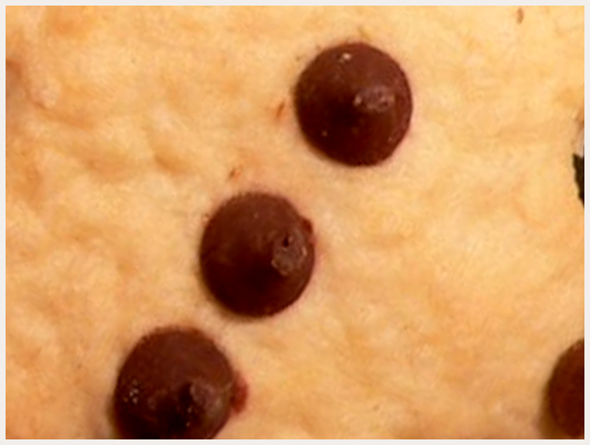 Biscuit Halloween