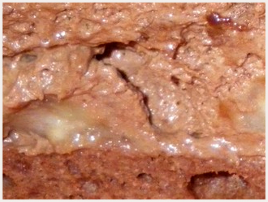 Biscuit Joconde Chocolat