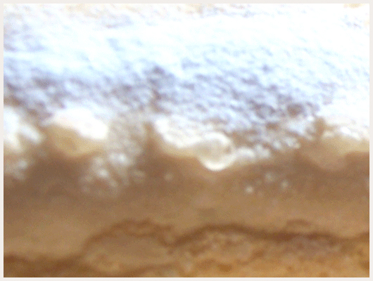 Biscuit Joconde