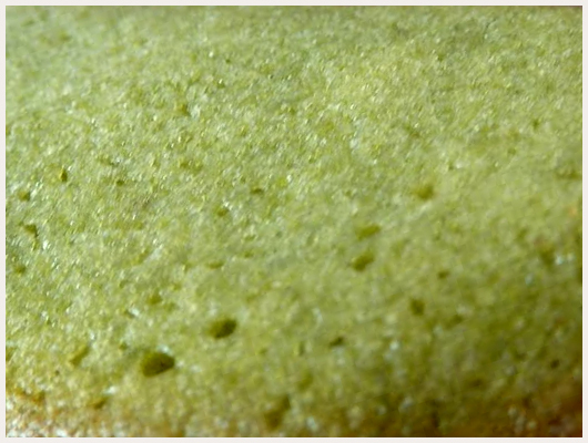 Biscuit Langue de Chat
