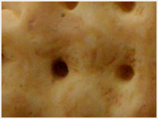Biscuit Light