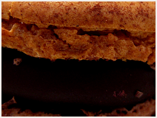 Biscuit Macaron