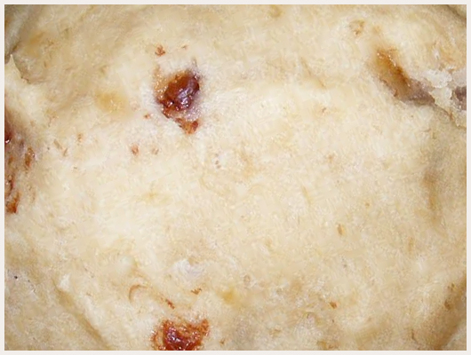 Biscuit Mou