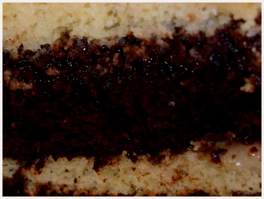 Biscuit Napolitain