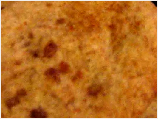 Biscuit Nature